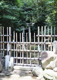 蚕ノ社 三柱鳥居 蚕ノ社 三柱鳥居の写真