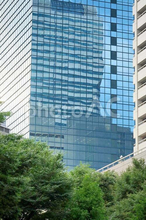 街路樹 街路樹,ビル,都市緑化の写真素材