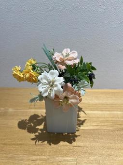 小さな鉢植え 小さな鉢植え 鉢植え,インテリア,グリーンの写真素材