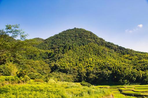山林 山林 山,自然,緑の写真素材