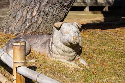 秋の香林寺⑼ 寺,香林寺,紅葉の写真素材
