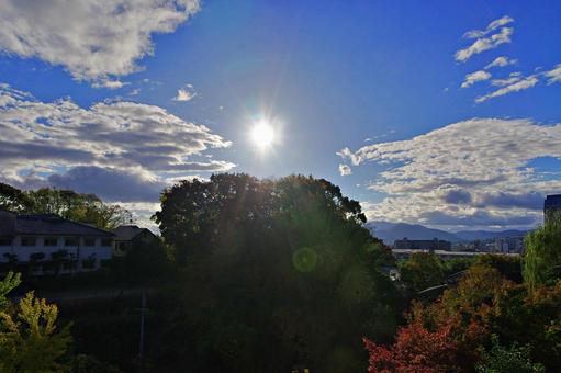 秋の西日 秋の西日 西日,逆光,秋晴れの写真素材