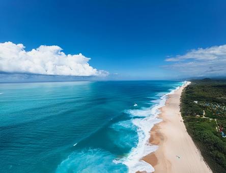 夏のエメラルドグリーンの海と砂浜と森林 夏のエメラルドグリーンの海と砂浜と森林の写真