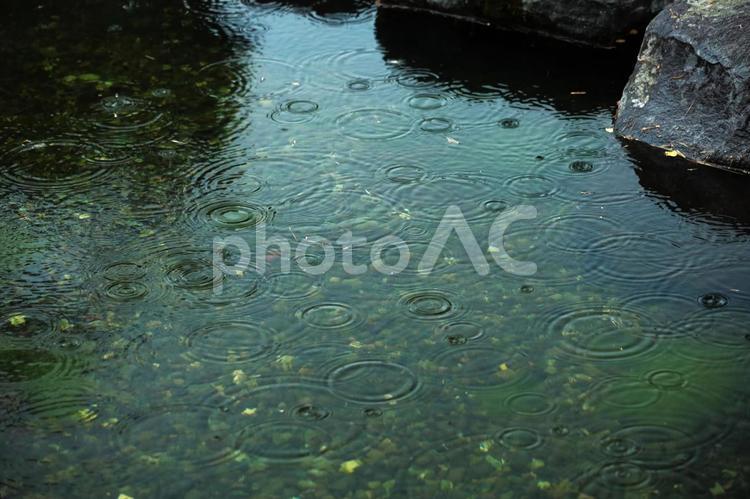雨の波形ー自然の美 雨の波形,雨の日,波形の写真素材