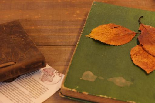 アンティークな雰囲気の秋の読書風景 アンティークな雰囲気の秋の読書風景 読書の秋,アンティーク,レトロの写真素材