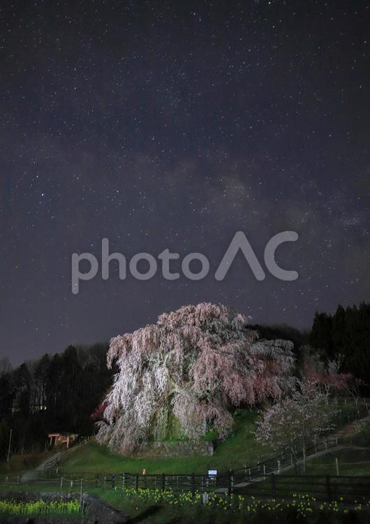 天の川と又兵衛桜 奈良,天の川,又兵衛桜の写真素材
