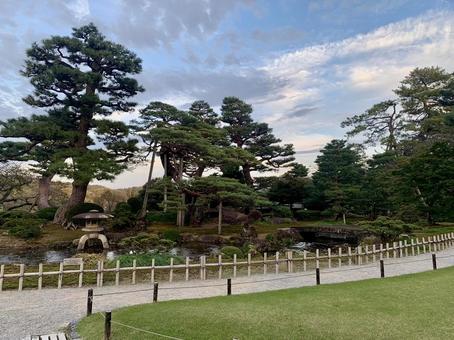 松と苔の整う日本庭園の道 松と苔の整う日本庭園の道 兼六園,松,庭園の写真素材
