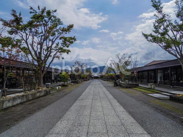 【佐賀県】有田町・アリタセラ アリタセラ,有田町,有田焼の写真素材