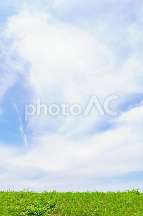 青空と新緑の草原 青空,草原,自然の写真素材