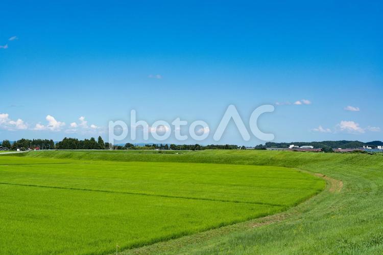 青空の中の田園風景 雲,田園,田んぼの写真素材