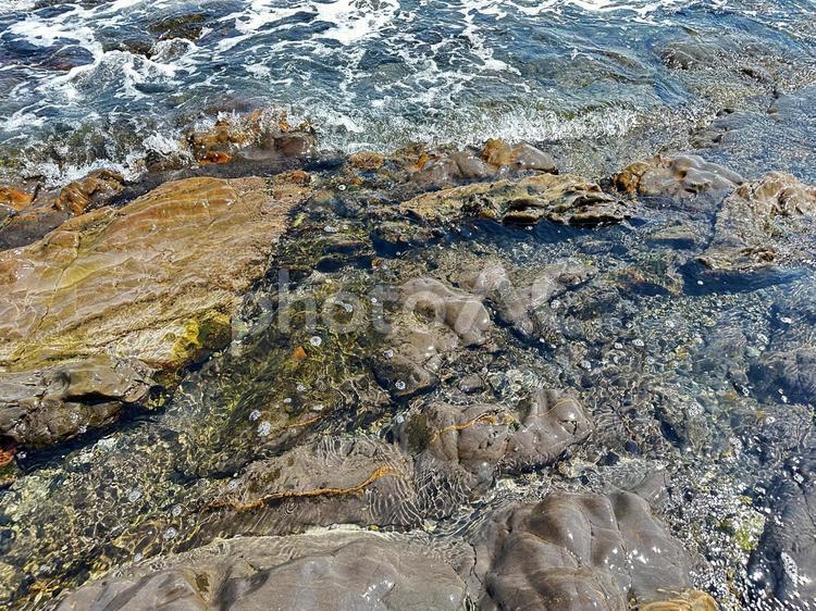 春の海　三輪崎海岸　海　黒潮 和歌山県新宮市,三輪崎海岸,海の写真素材