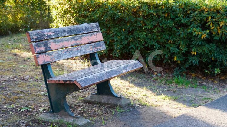 ちょっと古びた公園のベンチ ベンチ,古い,公園の写真素材
