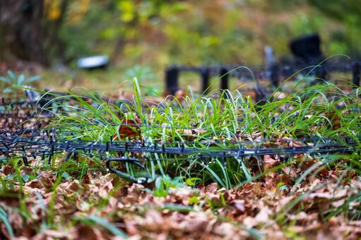 LEDライトのケーブルの隙間から伸びる草 対立,農業,屋外の写真素材