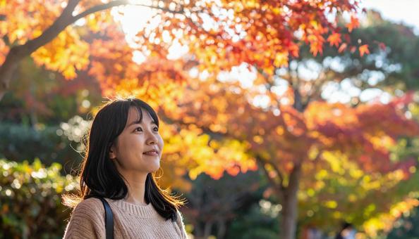 紅葉を鑑賞する若い女性 紅葉を鑑賞する若い女性の写真
