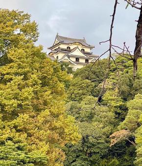 城　お城の写真