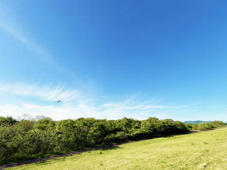 堤防にあるサイクリングロードと青空 堤防にあるサイクリングロードと青空の写真