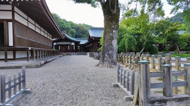 橿原神宮 神宮,奈良,夏の写真素材