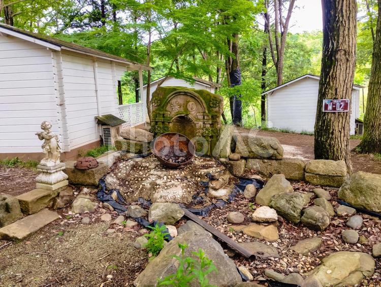 森の中のオブジェ 憩いの場,遊び場,子供の写真素材