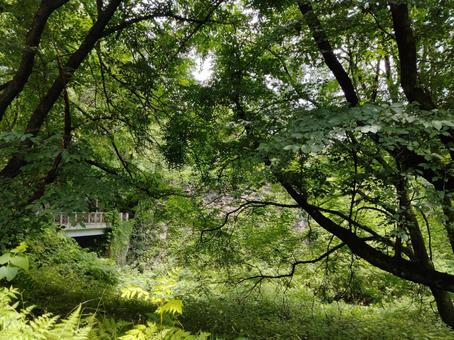 Photo, sky, mountain, laid back, 