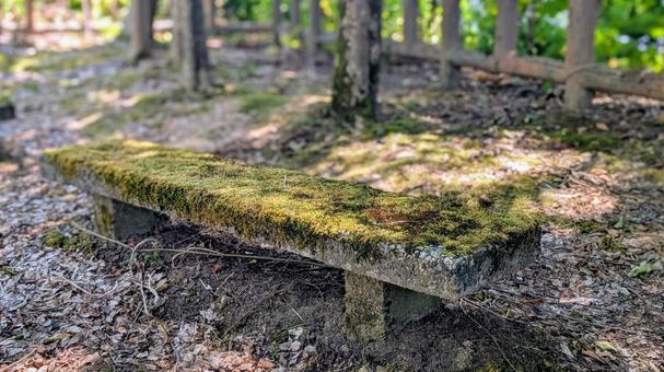 森の中のベンチ:苔が生える石の椅子 森の中のベンチ:苔が生える石の椅子 苔,ベンチ,森の写真素材