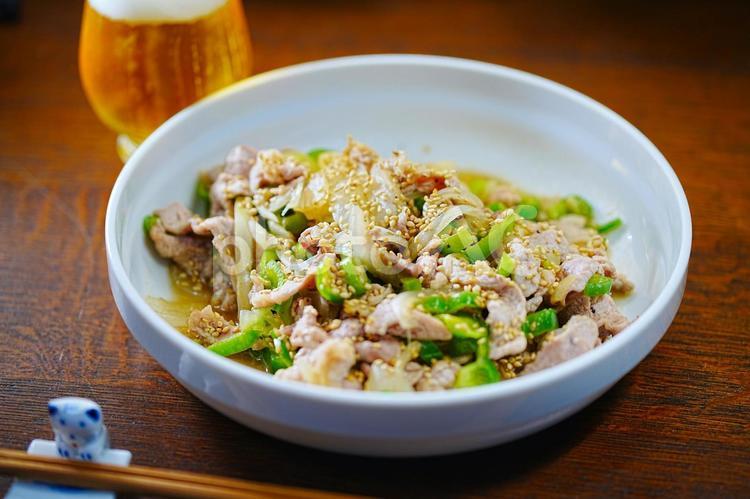 夏はビールと肉野菜炒め 食事,食卓,夕食の写真素材