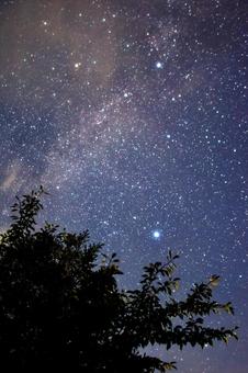 星空写真 天の川,星空,星の写真素材