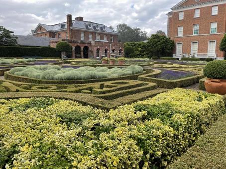 Chevening park 風景,景色,ヨーロッパの写真素材