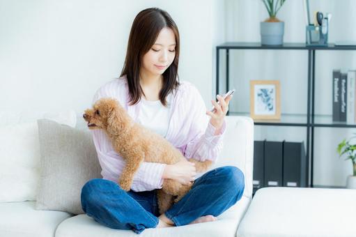 部屋でペットとくつろぐ若い女性 部屋でペットとくつろぐ若い女性 スマホ,ペット,女性の写真素材