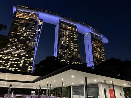 シンガポール マリーナベイサンズ シンガポール マリーナベイサンズ シンガポール,海外,植物園の写真素材