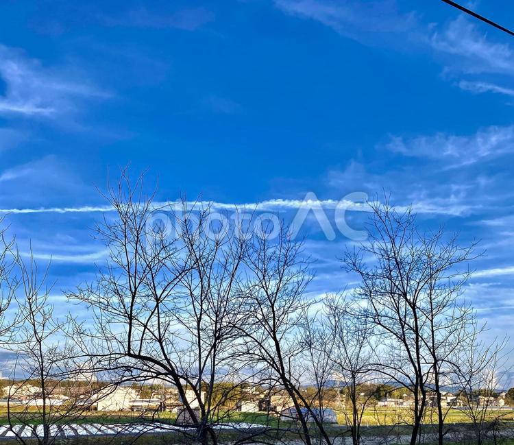 いろんな雲 背景,風景,素材の写真素材