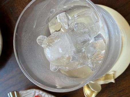 クマの形の氷 クマの形の氷 氷,ice,クマの写真素材