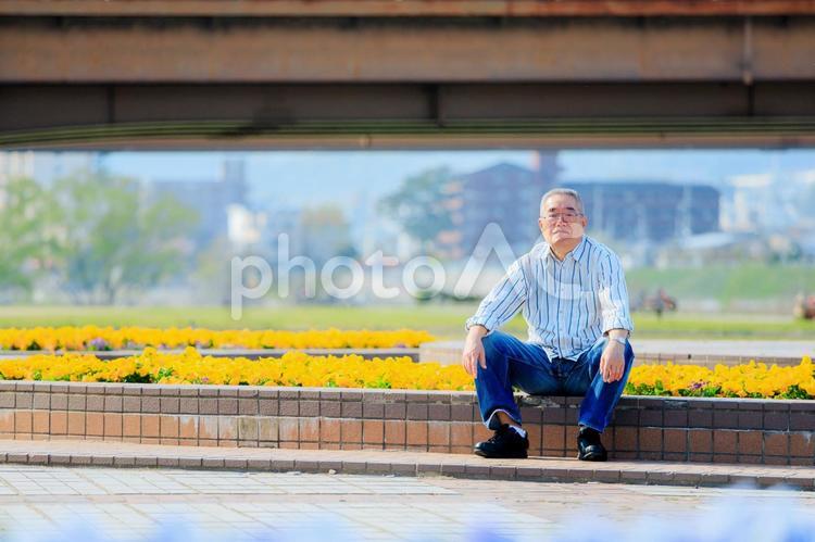 シニア男性　屋外 シニア,高齢者,屋外の写真素材