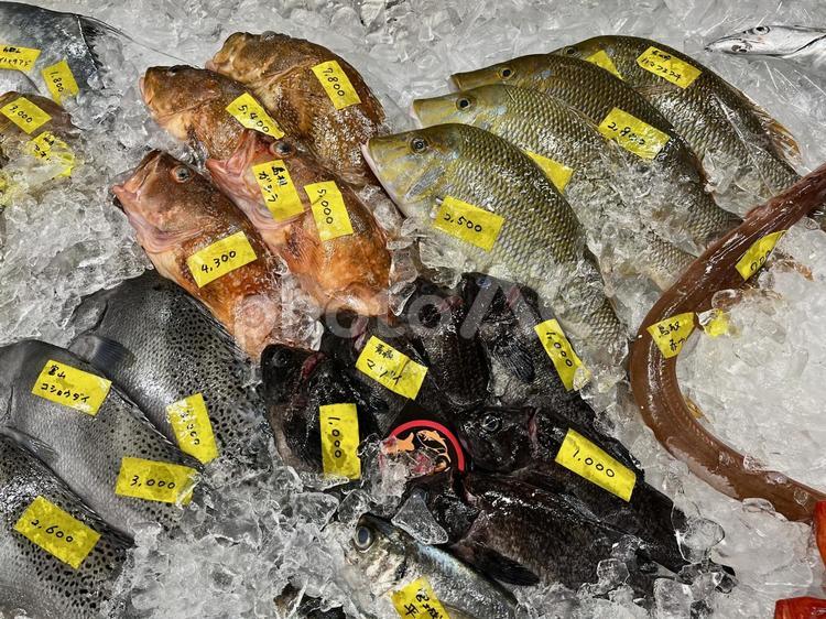 氷の上の新鮮な魚 魚市場,生魚,魚の写真素材