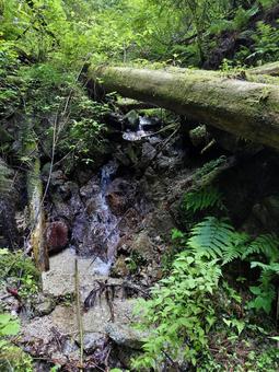 Waterfall and deep green ③, JPG Waterfall and deep green ③, JPG