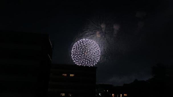 夏の夜空の花火 夏の夜空の花火の写真