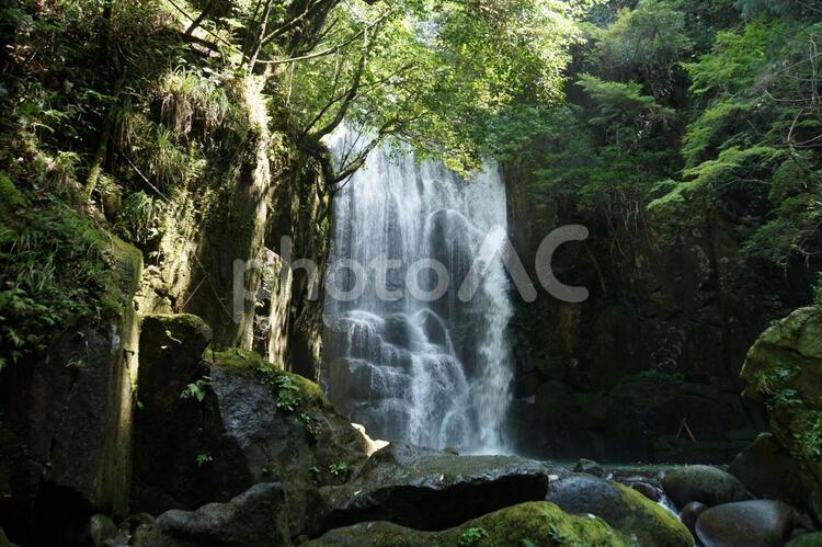 桑ノ木の滝 和歌山,山,川の写真素材