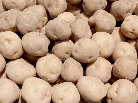 野菜・ジャガイモ ジャガイモ,ポテト,野菜の写真素材