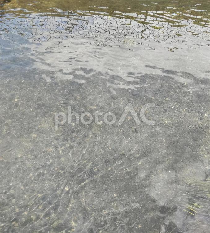 川をのぞき込む 水質,清流,きれいの写真素材