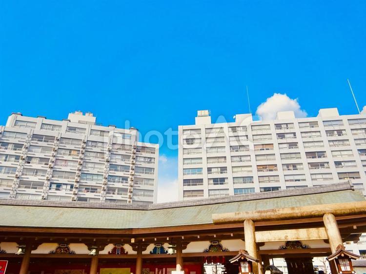 湯島天満宮とビル群とブルースカイ 青空,空,ブルースカイの写真素材