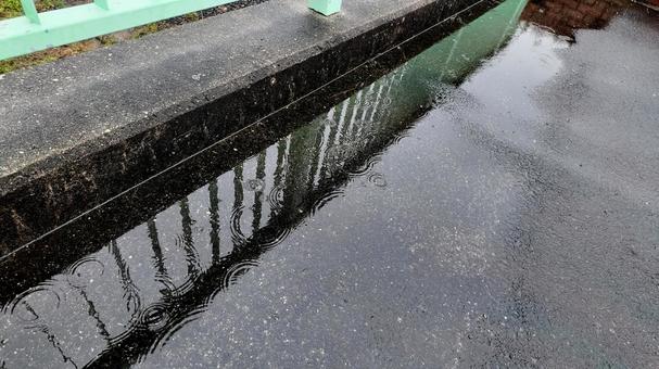 水たまりの写真