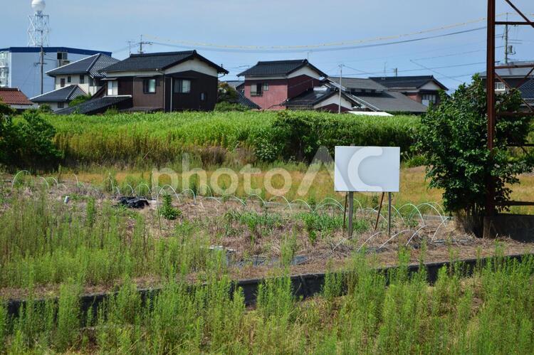 畑の看板のある風景 畑,看板,風景の写真素材
