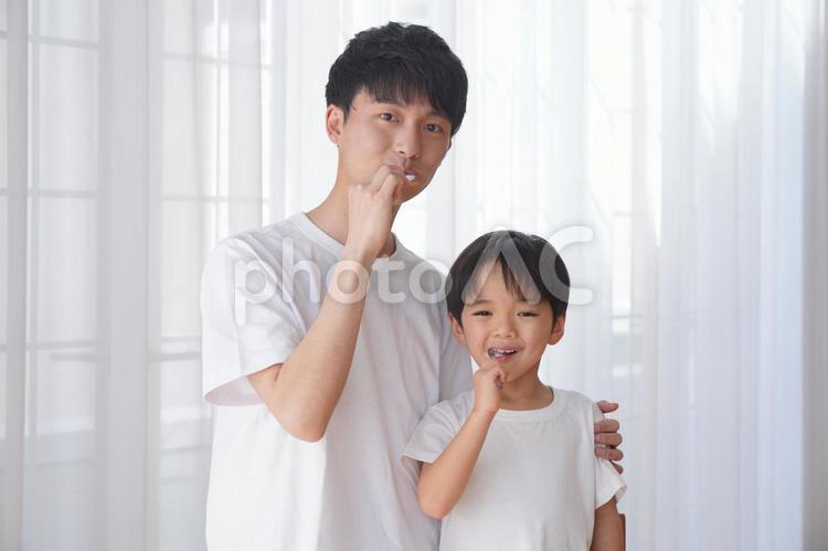 歯磨きをする親子 歯磨き,親子,父子の写真素材