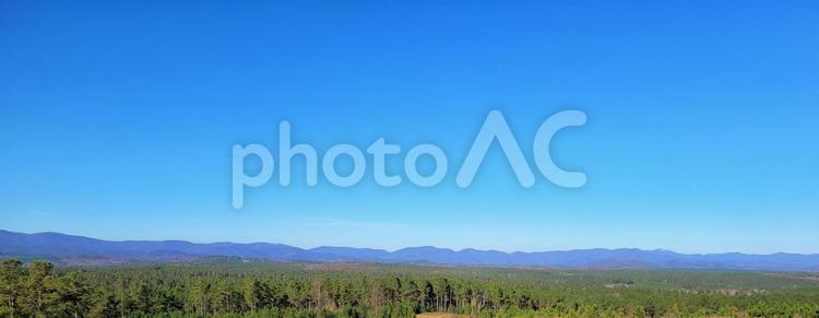 アメリカ　原生林　快晴　広角 青空,背景,素材の写真素材