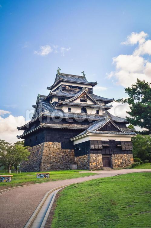 松江城　朝焼け 松江城,城,城跡の写真素材