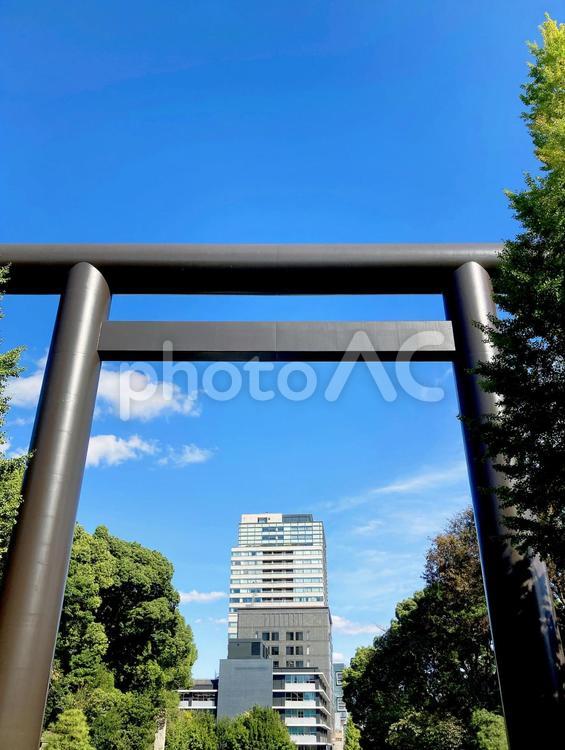 東京風景・靖国神社 靖国神社,靖国,神社の写真素材