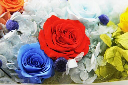 ブリザーブドフラワー ブリザーブドフラワー,プリザーブド加工,保存の写真素材