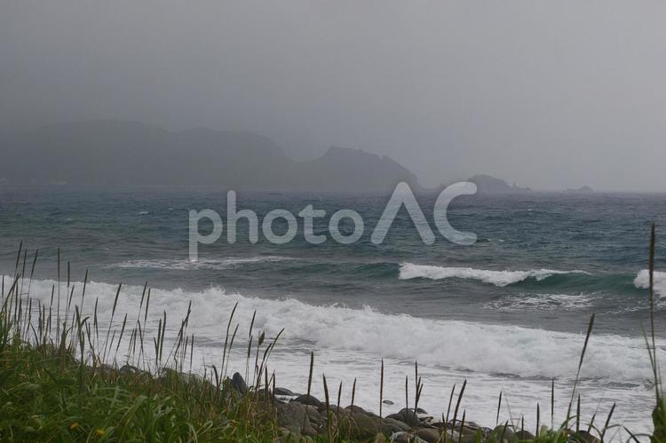 礼文島の海岸 礼文島,空,くもりの写真素材