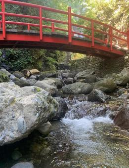 洒水の滝 洒水の滝の写真