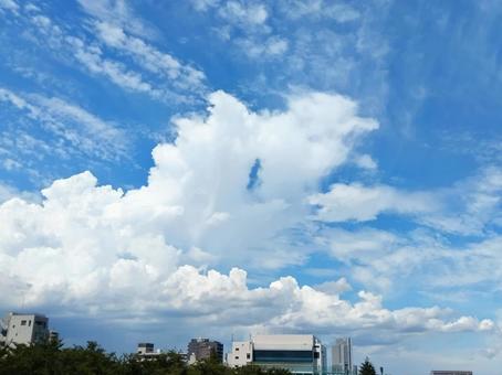 大きく発達した積乱雲 大きく発達した積乱雲 空,青空,白い雲の写真素材