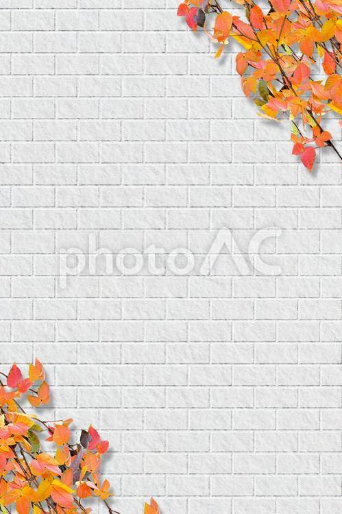 白いレンガと紅葉の背景　縦型 白,白い,しろの写真素材